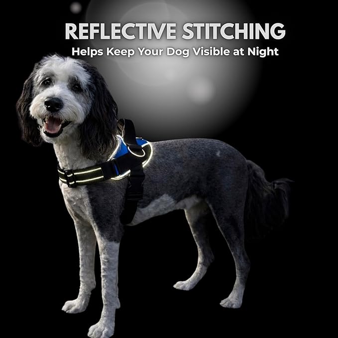 ShawnCo Essential Dog Harness, No-Pull Pet Vest with 3 Leash Clips, No Choke, Reflective, Adjustable and Padded, for Easy Walking and Training for Small, Medium and Large Dogs (Midnight, M)