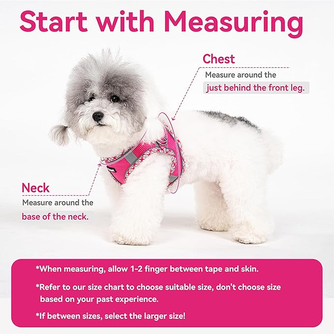 Petank Dog Harness for Small Medium Dogs No Pull, Puppy Harness and Leash Set for Walking, Running, Training, Small Dog Harness, Medium Dog Harness (Brown, L)