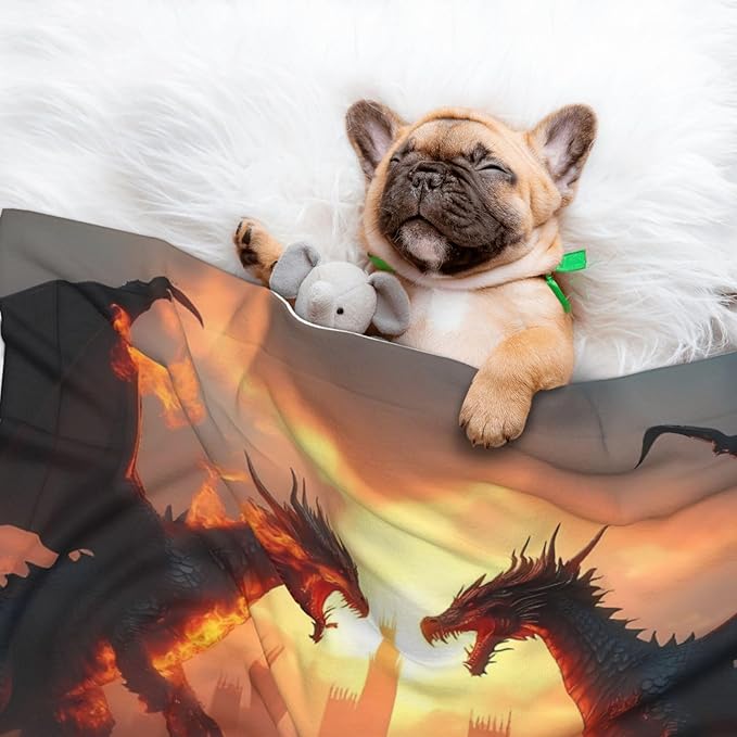 Castle Cool Fire Dragon Print Soft Plush Pet Blanket, Washable Dog Blanket, Cat Fleece Throw, Puppy Bed Crate Mat & Sofa Couch Protector - Small