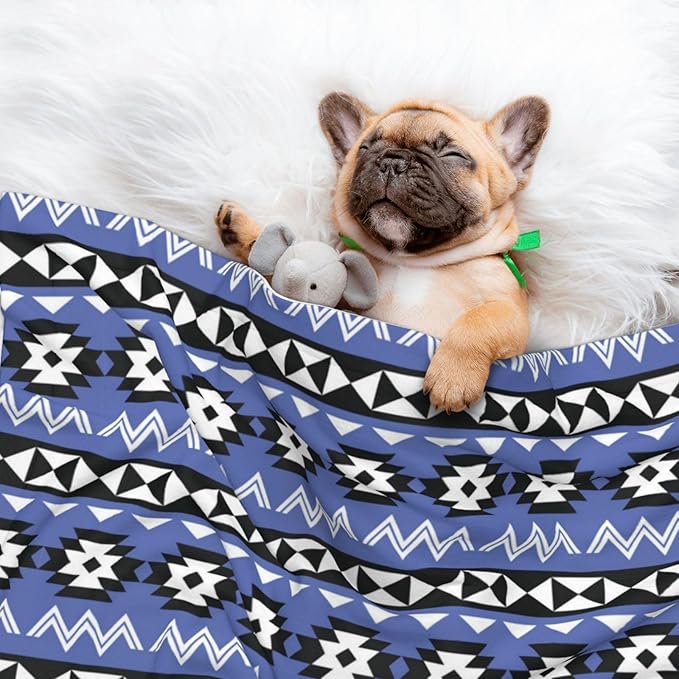 Pet Blanket for Couches and Beds, Tribal Ethnic Aztec Native American Decor, Reversible Double Sided Plush Design with Soft Bumpy Texture and Smooth Surface, Furniture Protector
