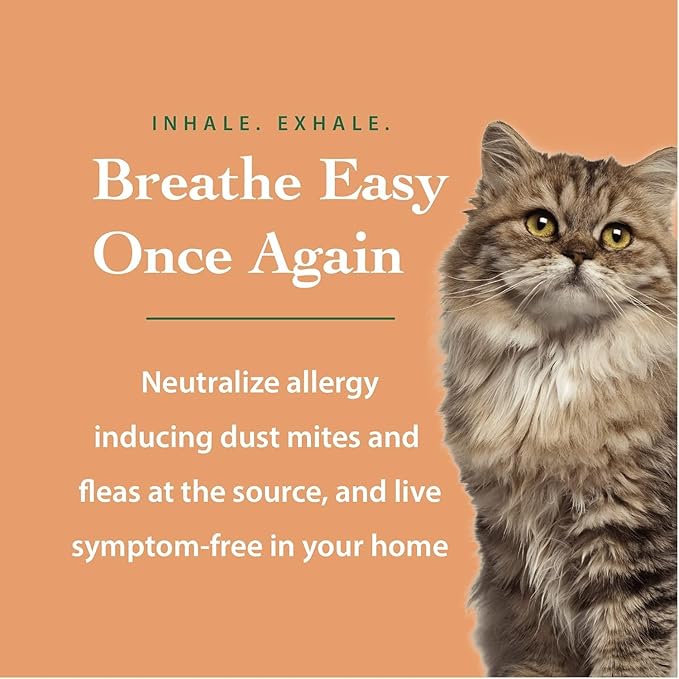 DustmiteX Dust Mite Spray - Dust Mites Remover + Flea Killer for Allergy & Asthma Relief for Cleaning in Home, Bed, Pet Bedding, & Furniture, Anti Allergen Dust Mites Killer