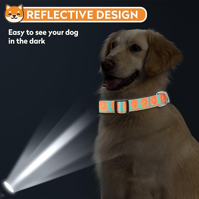 Reflective Dog Collar, Adjustable Soft Neoprene Padded Nylon Pet Collars with Buckle for Puppy and Small Dogs, Cats, Summer Lemon,XL