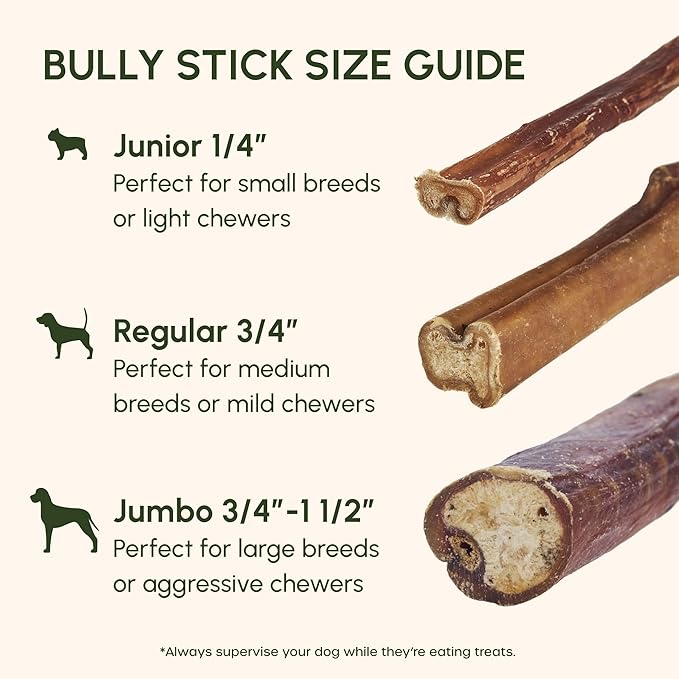 Downtown Pet Supply USA Sourced Bully Sticks for Dogs - Grass-fed Beef Chews, Low-Odor & Rawhide-Free, Long Lasting Dog Treats - Healthy, Safe & Delicious Chews (12" 50 Pack)
