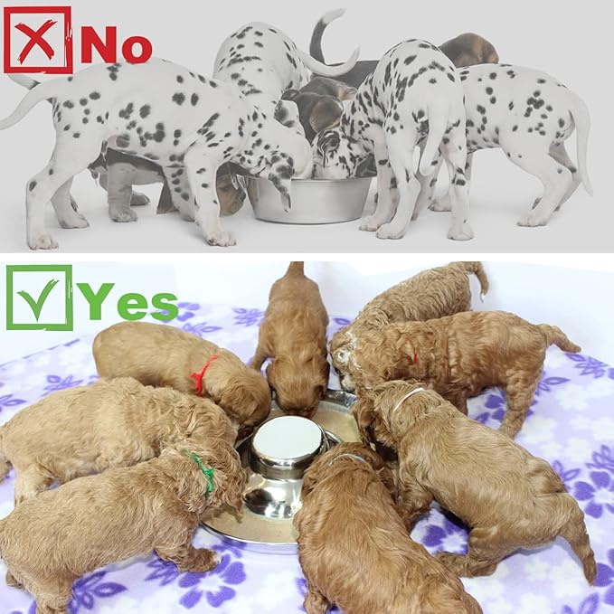 Stainless Steel Puppy Dog Bowls 2 Pack, Pets Puppies Feeding Food and Water Weaning Bowls Dishes Feeder, 10.3 Inch