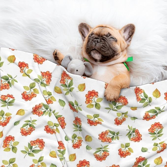 Reversible Plush Dot Pet Blanket for Dogs and Cats, Flower Berries Autumn Orange Art Pattern, Ultra Soft Two Sided Design with Warm Fuzzy Side and Smooth Side for Comfort