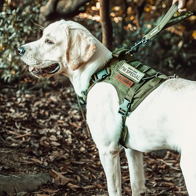 OneTigris Tactical Dog Harness Vest,No-Pull Service Dog Vest with Hook & Loop Panels,Adjustable Dog Vest Harness for Walking Hiking Training(Green,XXS)