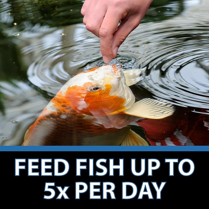 CrystalClear Staple Pond Fish Food for Healthy Koi & Goldfish, Protein Packed Floating Pellets for Summer Nutrition, Easy Digestion, 8.8 Pound Bucket