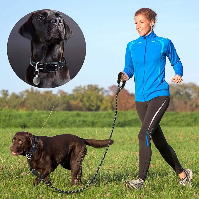 Reflective Dog Collar Padded with Soft Neoprene Breathable Adjustable Nylon Dog Collars for Small Medium Large Dogs (X-Small (Pack of 1), Black Collar+Leash)