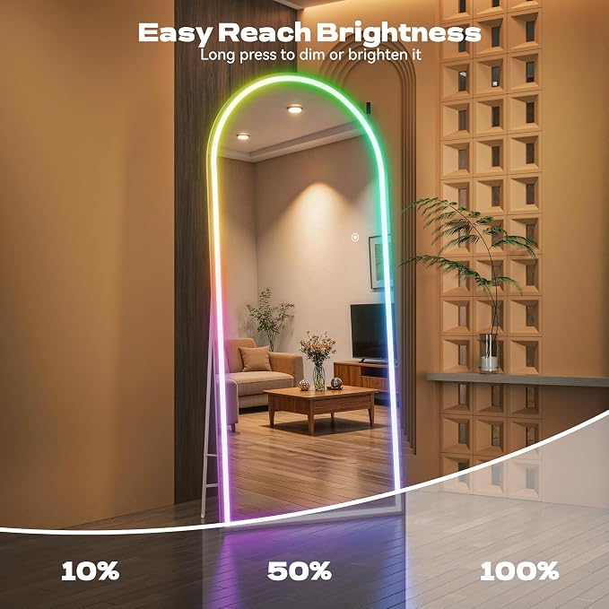 Hasipu Arch Full Length Mirror 77 x 30 in
