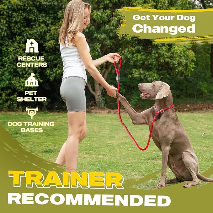 Fida Slip Leads for Dogs, 4 FT x 1/2" Dog Leash Heavy Duty Comfortable Strong Rope Lead for Large, Medium Dogs, No Pull Pet Training Leash with Highly Reflective,Red