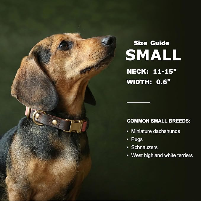 Didog Soft PU Leather Dog Collars for Small Dogs,Classic Adjustable Dog Collars with Quick Release Metal Buckle,Easy Clean and Comfortable with Nylon Lining,Pink,S Neck 11-15"