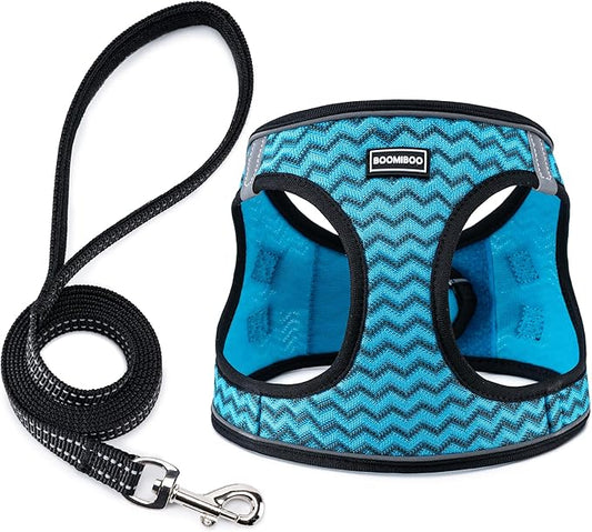 BOOMIBOO Dog Harness with Leash Set, No Pull Adjustable Reflective Step-in Puppy Pet Vest Harnesses for Small Medium Large Dogs and Cats,Blue Stripe XXS