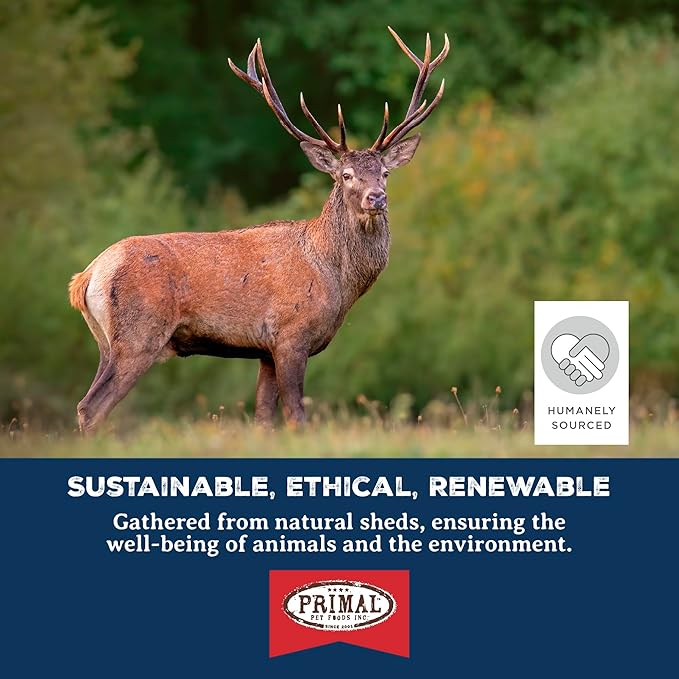 Primal Antlers for Dogs, Grade A Split Stag Antlers for Small Canines up to 15 lb, Natural Chews for Aggressive Chewers, Naturally Shed, Long Lasting Dog Bones, 1 ct
