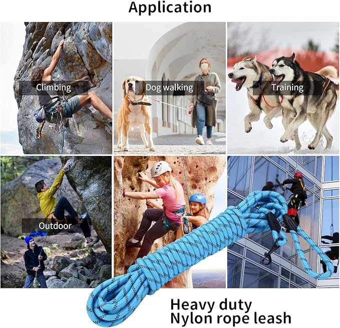 Long Dog Leash for Training 20Ft-Reflective Nylon Rope with Swivel Hook-Recall Agility Lead for Large Small Medium Dogs Outside Walking Hiking-Sky Blue