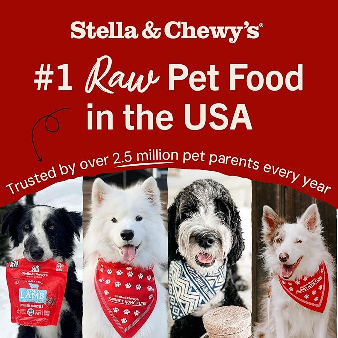 Stella & Chewy's Freeze-Dried Raw Beef Meal Mixers- Dog Food Topper and Mixer - Made with 95% Grass-Fed Beef, Organs & Bone - Perfect for Picky Eaters - Grain-Free - 35 oz
