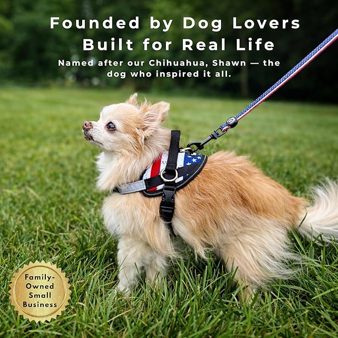 ShawnCo Essential Dog Harness, No-Pull Pet Vest with 3 Leash Clips, No Choke, Reflective, Adjustable and Padded, for Easy Walking and Training for Small, Medium and Large Dogs (Sunset Orange, M)