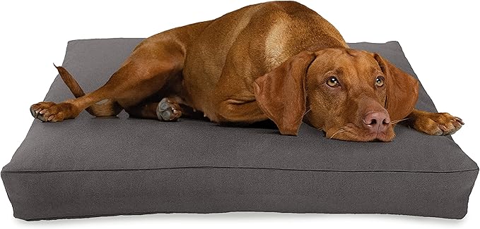Small - 30 x 20 x 4 - Shadow Gray Premium Organic Hemp Dog Bed - Organic Latex Fill - Removeable Cover