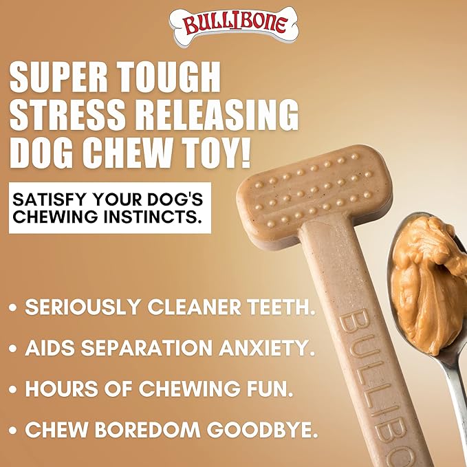 Bullibone Nylon Dog Chew Toy for Aggressive Chewers - Dental Hygiene Bone with Peanut Butter Flavor, Durable Tough Chew Toys for Large Dogs, Indestructible Dog Bone - 3 Pack