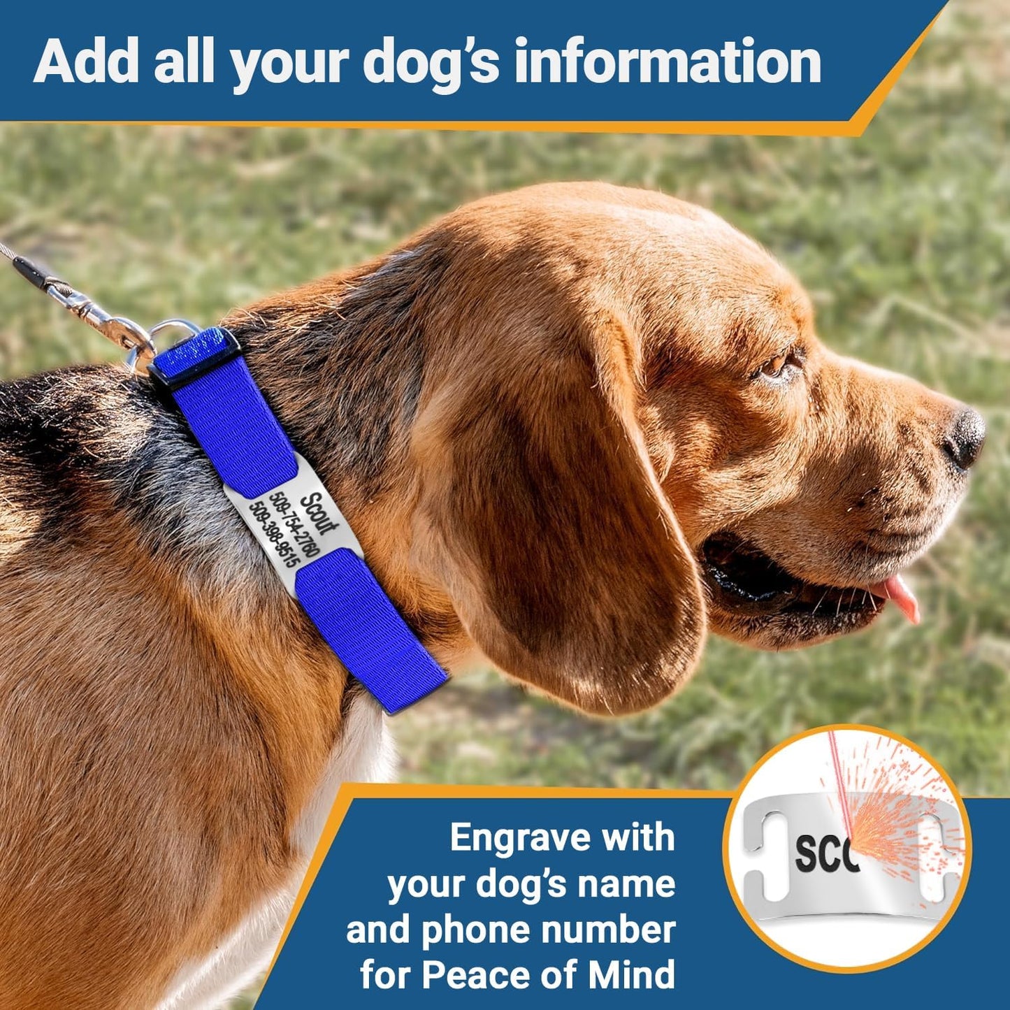 GoTags Reflective Personalized Dog Collar with Nameplate, Adjustable Dog Collar with Custom Engraved Steel Slide On Pet ID Tag, Silent, No Noise Dog Tag for Large Medium or Small (Orange, Small)