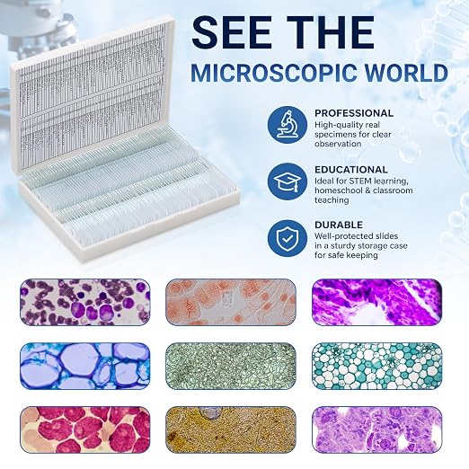 Tellegloww 120 Pcs Microscope Slides with Specimens for Kids & Students | Prepared Slides, Plant, Insect, Animal Tissue, Microorganisms, Biology Slide Set for STEM, Homeschool and Science Lab