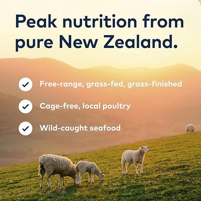 ZIWI Peak Wet Cat Food – All Natural, High Protein, Grain Free, Limited Ingredient, with Superfoods (Beef, Case of 6, 3oz Cans)