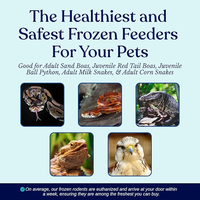 MiceDirect EST. 2003 25 Frozen Mice Small Adult Feeders Snake Food for Juvenile Red Tail Boas Ball Pythons Adult Sand Boas Milks Corn (2.5-3 in) (475 Grams Min)