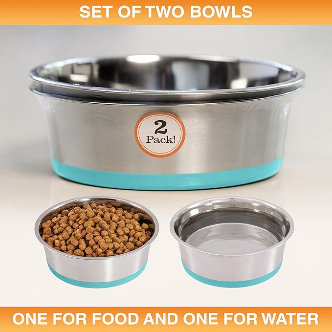 Neater Pet Brands Stainless Steel Dog Bowls with Non-Slip Rubber Bottom – 2 Cup (16 oz), Teal - Set of 2 Heavy Duty Metal Dog Bowls, Dishwasher Safe, Food or Water Bowl, Ideal for Small Dogs & Cats