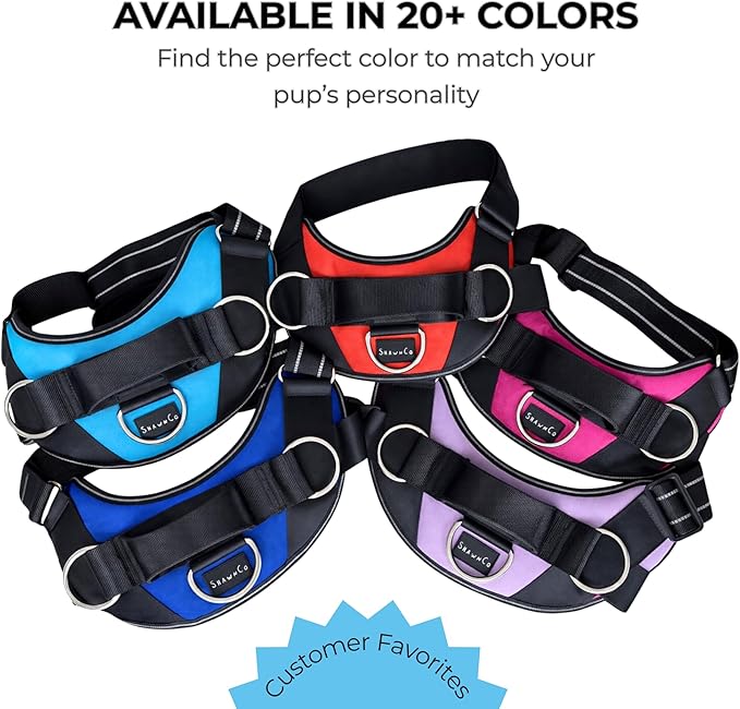 ShawnCo Essential Dog Harness, No-Pull Pet Vest with 3 Leash Clips, No Choke, Reflective, Adjustable and Padded, for Easy Walking and Training for Small, Medium and Large Dogs (Orchid, XL)