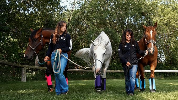 Warrior Fly Boots for Horses - Breathable Mesh Horse Boots for Fly Protection & Leg Comfort - Set of 4 (Trojan Warrior, Red)