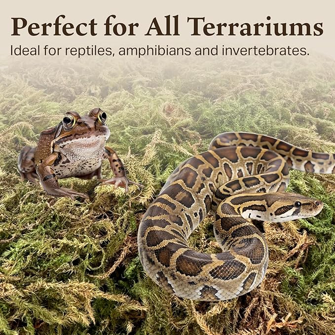 The Habitat Life - Natural Deco Moss - for Reptiles, Amphibians & Invertebrates Terrariums - Humidity Control - Natural Look & Feel - Soft Surface - Dye-Free & Safe - Small - 1 Pack