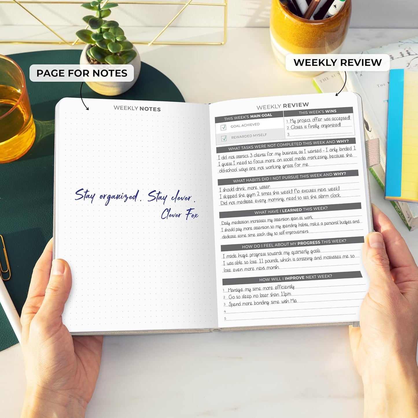 Clever Fox Daily Planner – Undated Planning Notebook with Hourly Schedule & To-Do List – Personal Day Task & Work Organizer, 6 Months (Pearl)