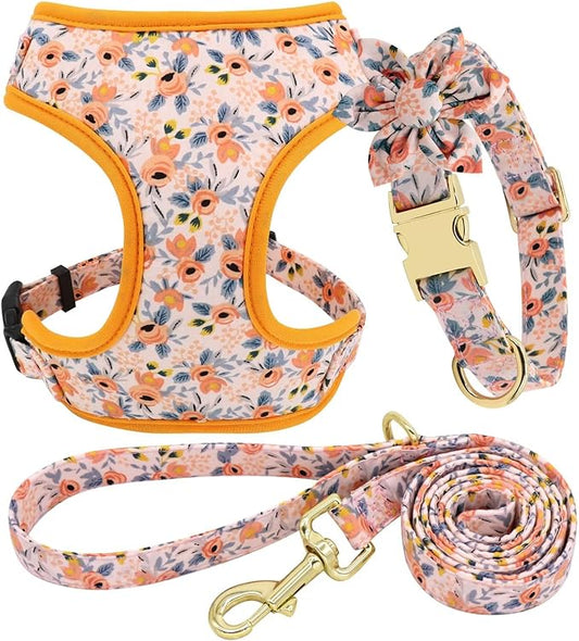 Beirui Cute Girl Dog Collars, Harnesses & Leashes Set - Adjustable Dog Collar and Leash Set with Flower - Soft Mesh Dog Vest Harness for Puppies Small Medium Dogs (Orange,M)