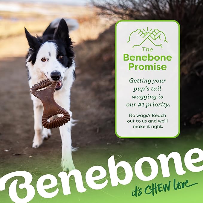 Benebone Dental Durable Dog Chew Toy for Aggressive Chewers, Real Bacon, Made in USA, Small
