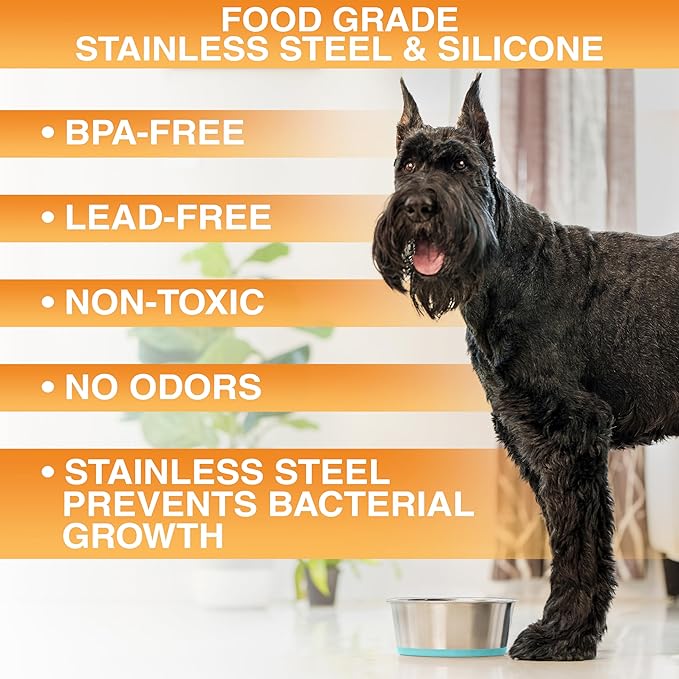 Neater Pet Brands Stainless Steel Dog Bowls with Non-Slip Rubber Bottom – 3 Cup (24 oz), Teal - Set of 2 Heavy Duty Metal Dog Bowls, Dishwasher Safe, Food or Water Bowl, Ideal for Small to Medium Dogs