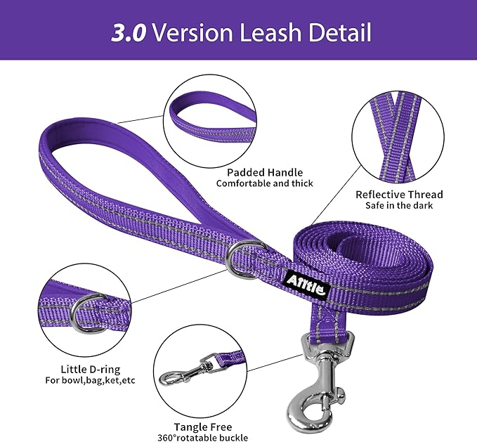 AIITLE Small Harness for Puppy with A Leash - Dog Vest Harness with Super Breathable Mesh, Reflective No-Pull Pet Harness for Outdoor Walking, Running for Small Dogs, Cats Purple XXS
