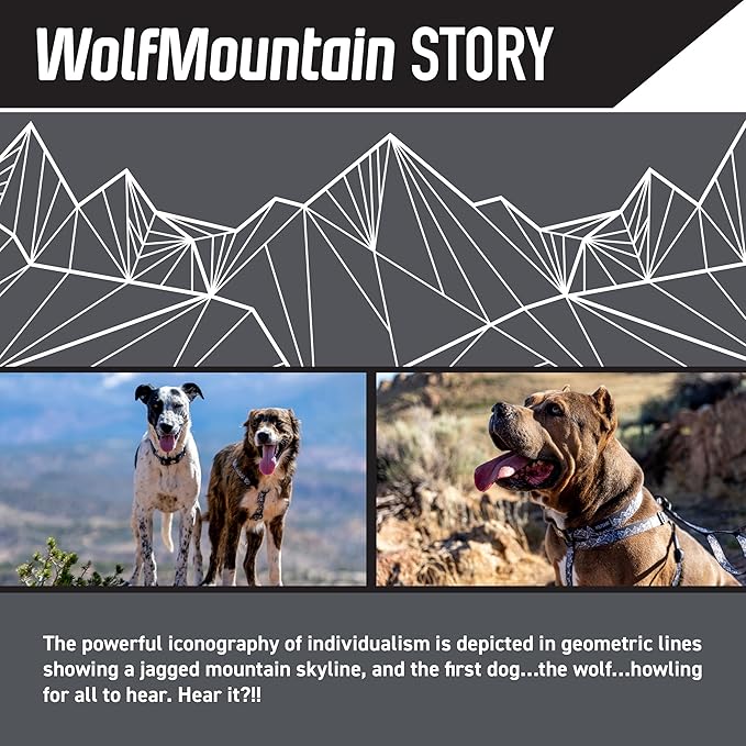 Wolfgang Heavy Duty Adjustable Dog Harness, Pull-Tested to Over 800 lbs for Walking & Training, WolfMountain Print, Small
