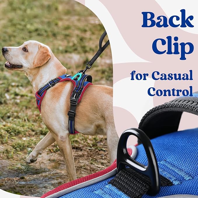 rabbitgoo Dog Harness for Large, No Pull Pet Harness with 3 Buckles, Adjustable Soft Padded Vest with Control Handle, Walking Reflective Pet Vest for Extra Large Dogs, Royal Blue & Red, XL