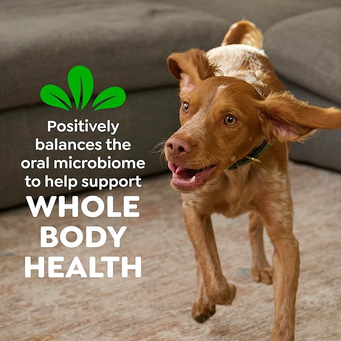Greenies Veterinarian-Recommended Adult Natural Dental Dog Treats Petite Size, Sweet Potato Flavor, 36 oz. Pack, 60 Count