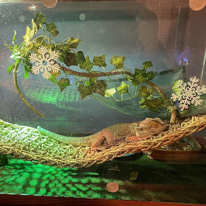 kathson Bearded Dragon Large Hammock,Lizard Lounger 29.53x7.08inches Natural Seagrass Fibers Pet Recliner Flexible Vine Decoration for Gecko Chameleon Snakes (4 PCS)