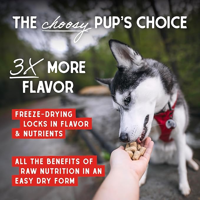 Stella & Chewy's Freeze-Dried Raw Tantalizing Turkey Meal Mixers- Dog Food Topper and Mixer - Made with 95% Cage-Free Turkey, Organs & Bone - Perfect for Picky Eaters - Grain-Free - 1 oz (Pack of 2)