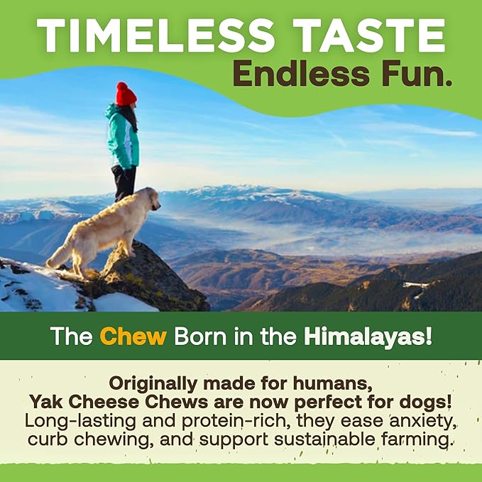 EcoKind Monster Himalayan Yak Cheese Dog Chew, XL Dogs Chews, Rawhide Free, Dog Chew Stick for Aggressive Chewers, Indoors Outdoor Use, Healthy Dogs Treats, Made in The Himalayas -XL Large (Pack of 2)