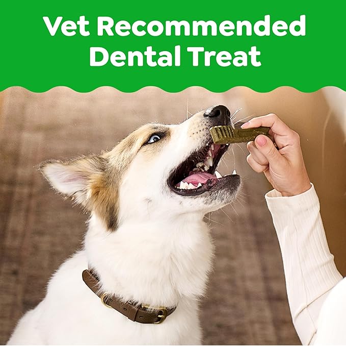 Greenies Veterinarian-Recommended Adult Natural Dental Dog Treats Petite Size,Variety Pack Flavor,(3) 12 oz. Packs,60 Count (Pack of 2)