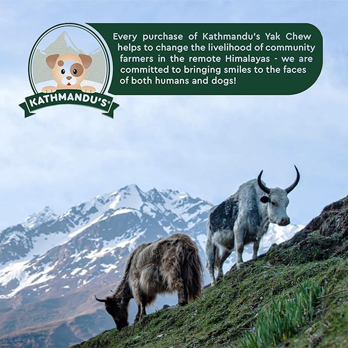 Authentic Himalayan Yak Cheese for Dogs - XLarge (Pack of 2) - Sourced from Pristine Himalayan Foothill, Rawhide-Free, NO preservatives