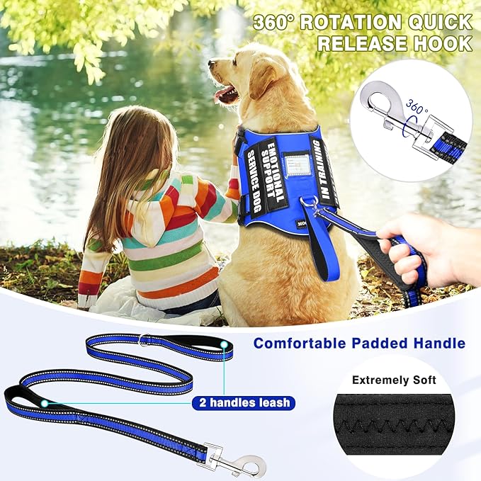 Service Dog Vest Harness and Leash Set+10 Patches,No Pull&Easy Walk Reflective Dog Harness with Soft Padded Handle for Training/Everyday,Fit Small/Medium/Large/Extra-Large Dogs (Blue XL)