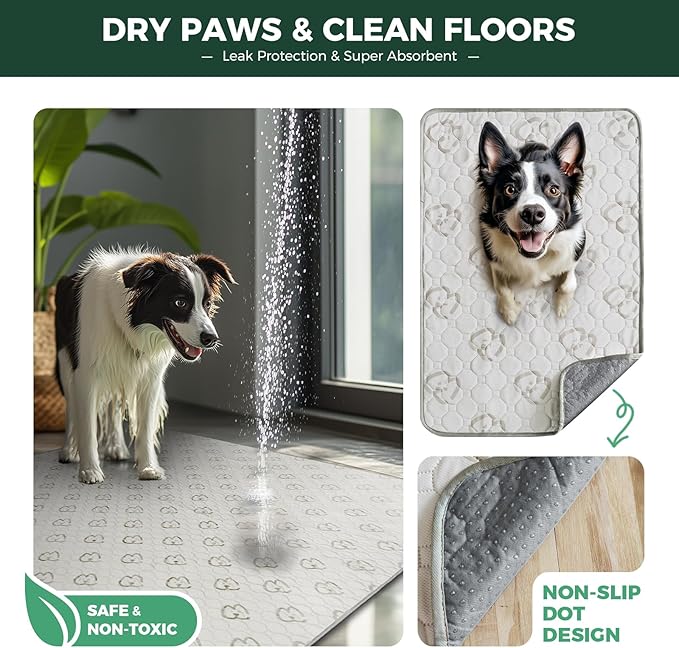 FXW Washable Pee Pads for Dogs, Puppy Pads with Super Absorbent, Specifically Designed for Potty Training, Square, 39" x 39", 2 Packs