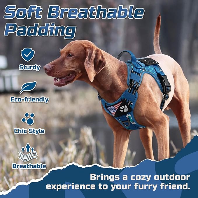 rabbitgoo Tactical Dog Harness Medium Sized Dog, No Pull Military Service Vest with Handle & Molle, Easy Control for Training Walking, Adjustable Reflective Straps, Blue Camo, M