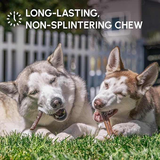 Downtown Pet Supply USA Sourced Bully Sticks for Dogs - Grass-fed Beef Chews, Low-Odor & Rawhide-Free, Long Lasting Dog Treats - Healthy, Safe & Delicious Chews (6" 15 Pack)