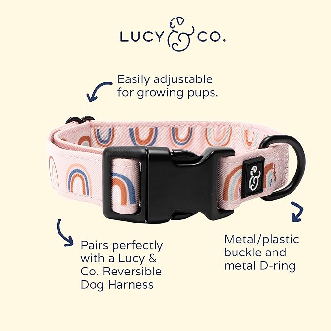 Lucy & Co. in The Clouds Dog Collar - Durable Lightweight Designer Collar for Pets - Adjustable Metal Safety Buckle - Pink Rainbows - Small