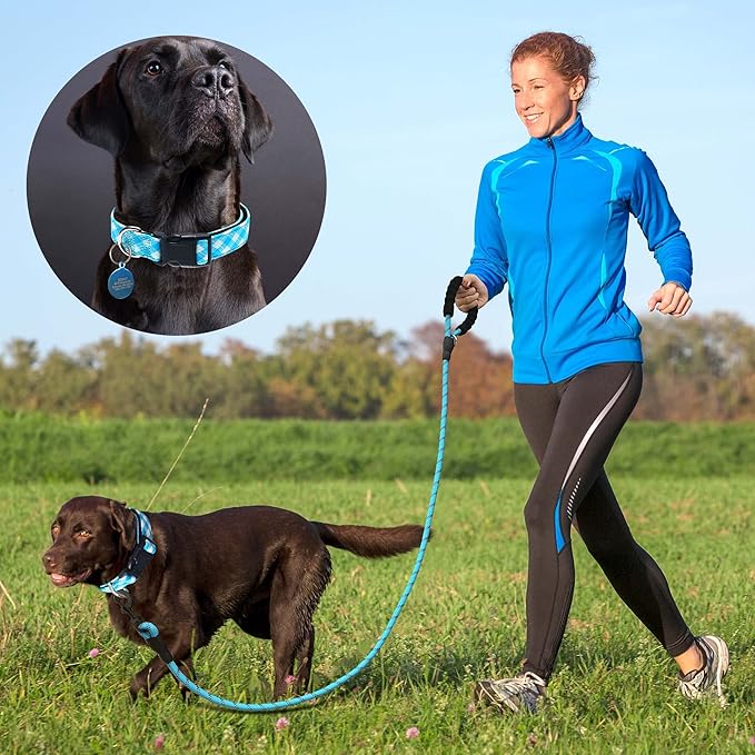 Reflective Dog Collar Padded with Soft Neoprene Breathable Adjustable Nylon Dog Collars for Small Medium Large Dogs (Small (Pack of 1), Vivid Blue Plaid Collar+Leash)
