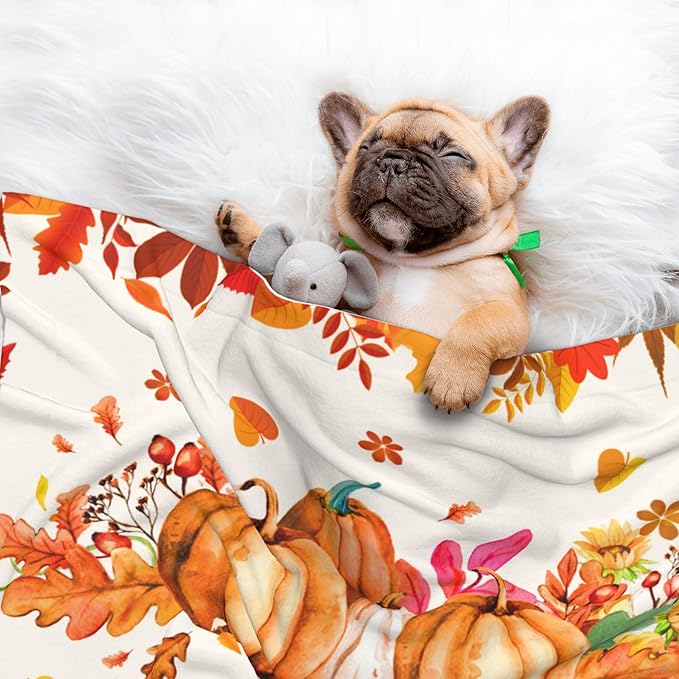 Pumpkins Blanket for Dog Cat - Orange Fall Throw Blanket 23x16 Autumn Pet Blanket for Couch Sofa Bed